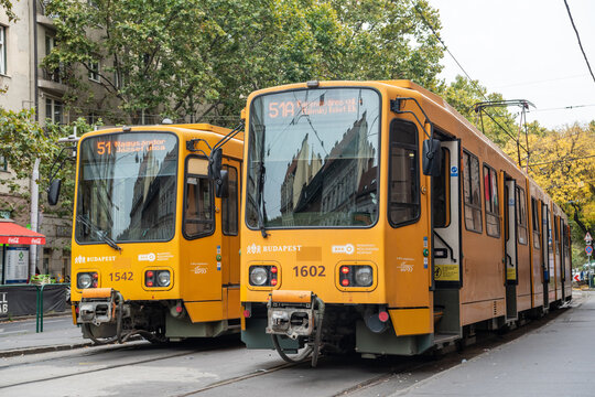 Budapest, Hungary &ndash; October 12, 2022. Two trams on a Budapest street. View of trams 51 and 51a in Mester utca of Ferencvaros district in Budapest. 