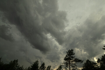 Thunderclouds in the sky. Cloudy sky over the forest.Waiting for a hurricane.