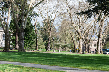 A photo of campus of University of Washington, Seattle, USA