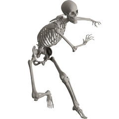 skeleton posing 3d render illustration