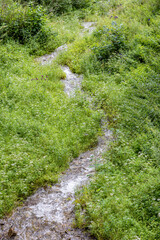 A clear stream on Luya Mountain