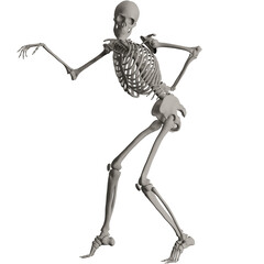 skeleton posing 3d render illustration