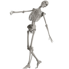 skeleton posing 3d render illustration