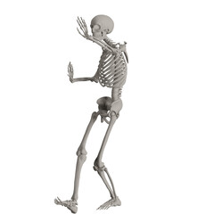 skeleton posing 3d render illustration
