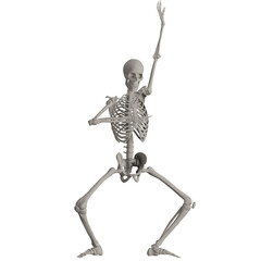skeleton posing 3d render illustration