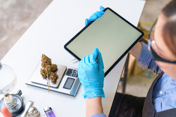 Plant scientist working in Sativa Cannabis agriculture farm for research hemp to use in hospital sleep and cancer medications treatment