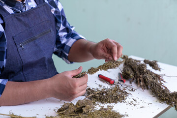 Trimming Cannabis in details. Wet and Dry Trimming technique