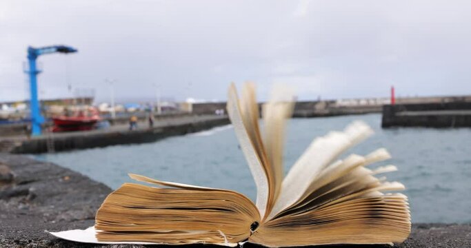 Hojas de libro movidas por la brisa marina