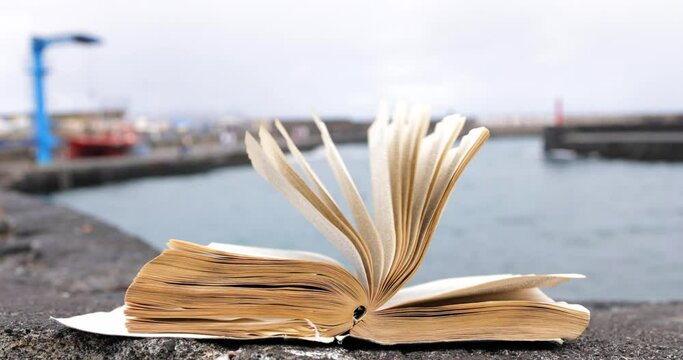 Hojas de libro movidas por la brisa marina slowmotion