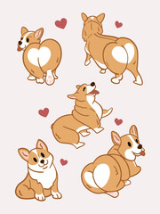 Set of Image Corgi Dog illustration background design