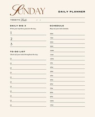 Daily planner printable template.Schedule,notes for the day. 