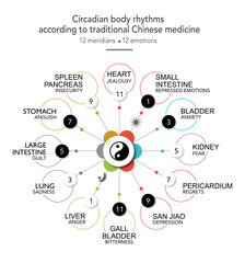 Circadian body rhythm. 12 organs associated with their emotions, chronobiological clock, yin yang energy and the five elements (colors)
