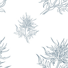 Seamless pattern with hand-painted eryngiums. Print with flowers on a white background. Pattern for textiles, wallpaper, clothes, postcards, posters, accessories. abstract background