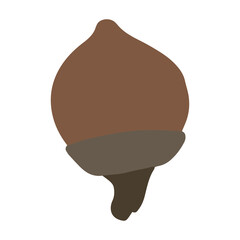 Acorn vector illustration isolated on white background. Acorn clip art
