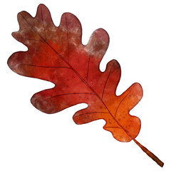 Obraz premium Watercolor Autumn Leaf