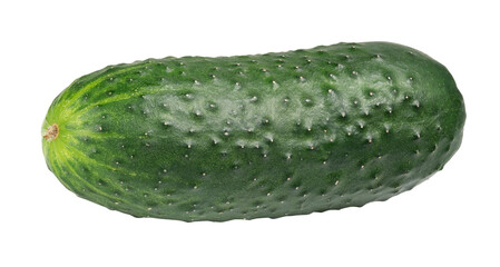 cucumber isolated on white. the entire image in sharpness.
