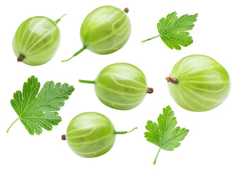 green berries and leaves of gooseberry isolated on white. the entire image in sharpness. - obrazy, fototapety, plakaty