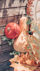 Autumn garden home decoration composition with clock, pumkins, candles and apples. Fall yard arrangement on the table or other zone