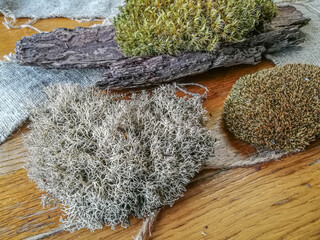moss collection