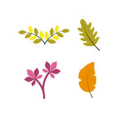 Fototapeta na wymiar Collection of Autumn leaves, maple, dried elm leaves. Yellow or red deciduous forest leaves drawn for vector elements