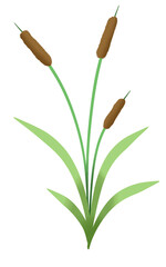 Reed mace cat tails bright color painting