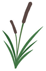 Reed mace cat tails plant painting