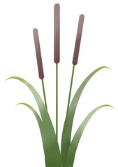 Set of Reed mace cat tails painting