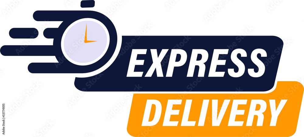 Wall mural Express delivery with stopwatch icon concept for shipping services. Modern label design.