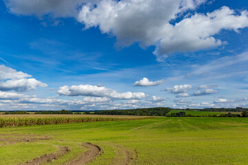 Fields and blue sky with clouds. Autumn landscape.
