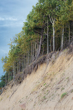 The Dutchman's Cap, In Lithuanian Olando Kepurė, Hill Or Parabolic Dunes With Pine Trees Created By Aeolian Processes On A Moraine Ridge, On The Baltic Sea Lithuania's Seaside Regional Park, Vertical