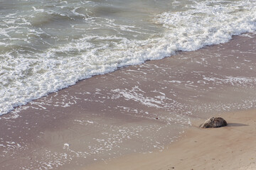 Beautiful sandy beach on the Baltic Sea with a big granite stone an d waves, aerial view