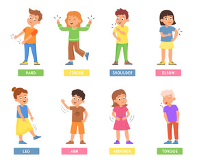 Kids touching and pointing to body parts with hand set. Vector illustrations of preschool children on anatomy lesson. Cartoon child learning external organs isolated on white. Education concept