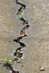 gerissene Asphaltdecke