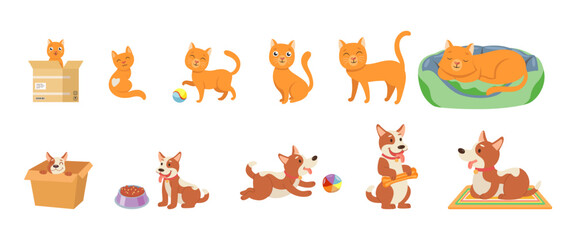 Obraz premium Stages of cat and dogs growth cartoon illustration set. Happy little and elderly pets characters growing, playing with ball, sleeping and eating food. Time, domestic animal, life progress concept