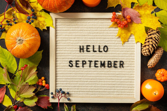 Autumn background with Hello September letters and autumn message board, pumpkins and colorful leaves. Cozy autumn mood. Fall seasons greeting card.