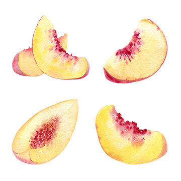 Watercolor hand drawing peach fruit slice set