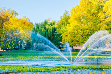 fountain in the park