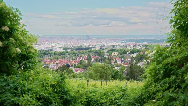 Beautiful city of Vienna, Austria seen from its surrounding hills of vine. Romantic wine countryside of the city of Vienna with green leaves and red roof houses overlooking the metropolitan