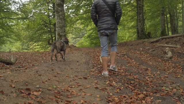 Joven mujer, pasea con su perro por el parque en oto&ntilde;o 