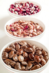 Organic heirloom beans in white ceramic bowls. Scarlet runner, pinto, anasazi beans. Rich in protein.