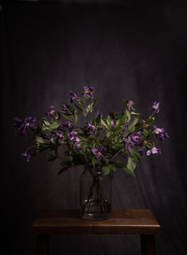 brances of purple clematis flowers in glass vase in dark painterly studio still life