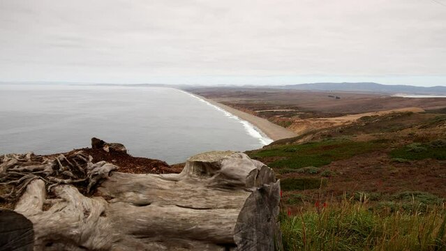 Panning shot of Point Reyes beach and shoreline on a cloudy day with dead log in foreground.