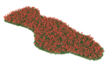 Field of flowers on transparent background. 3d rendering - illustration