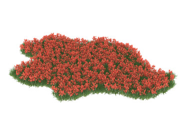 Field of flowers on transparent background. 3d rendering - illustration