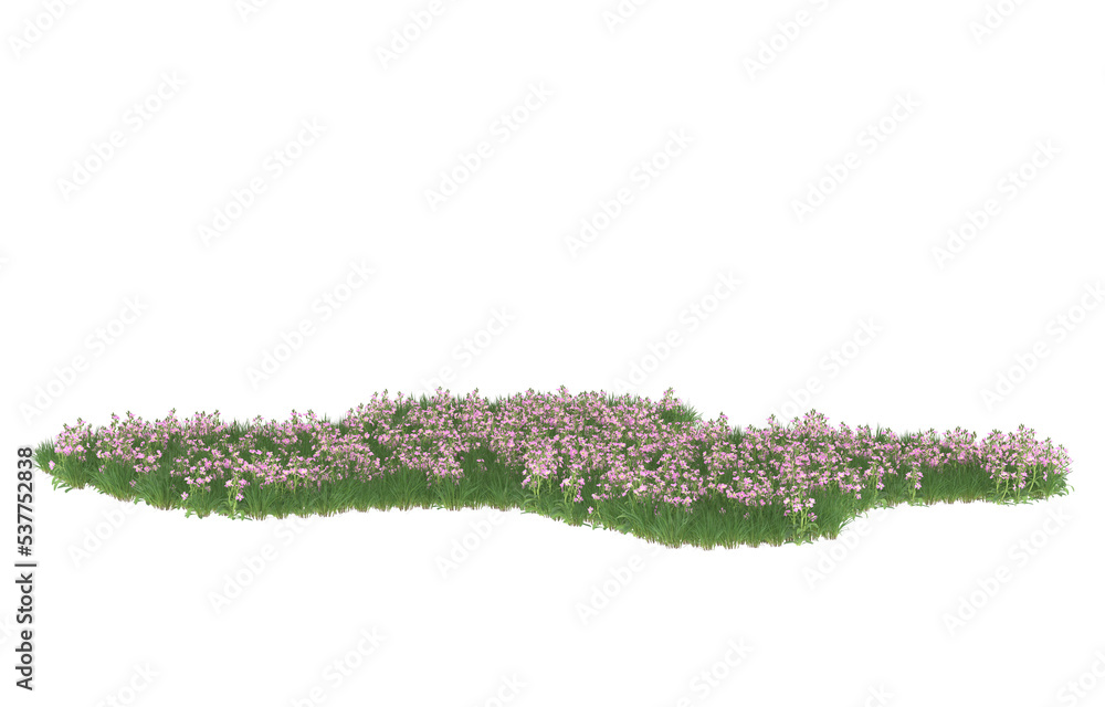 Wall mural field of flowers on transparent background. 3d rendering - illustration - Wall murals
