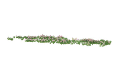 Field of flowers on transparent background. 3d rendering - illustration