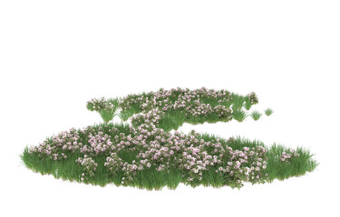 Field of flowers on transparent background. 3d rendering - illustration