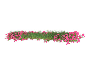 Field of flowers on transparent background. 3d rendering - illustration