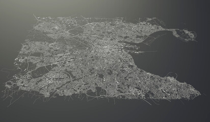 Dublin, Ireland city map aerial view. minimal design. 3D Rendering. 3D Illustration - obrazy, fototapety, plakaty