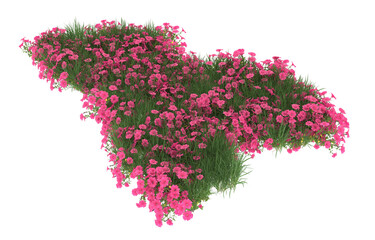 Field of flowers on transparent background. 3d rendering - illustration